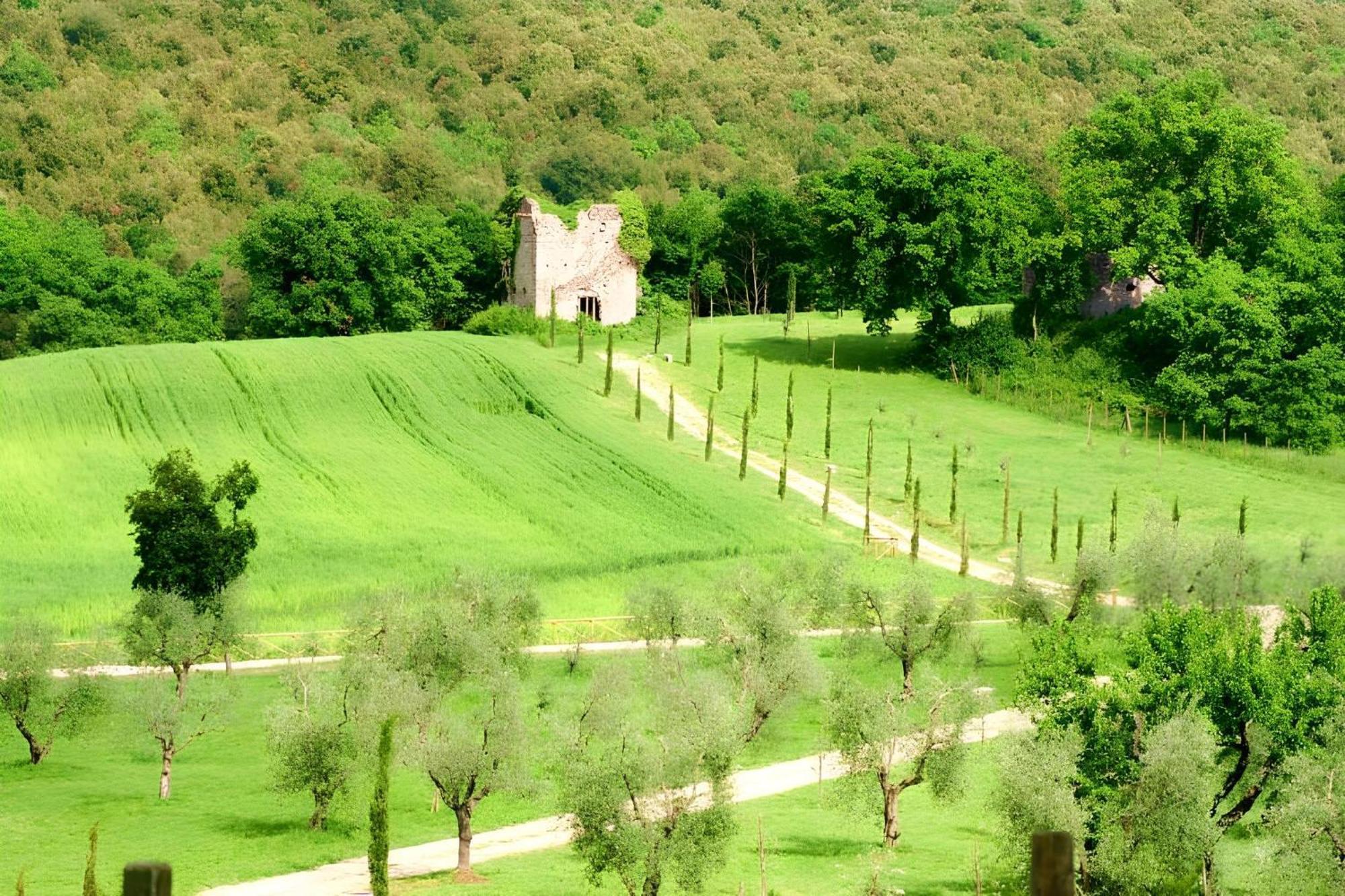 Tenuta Del Gallo Амелиа Екстериор снимка