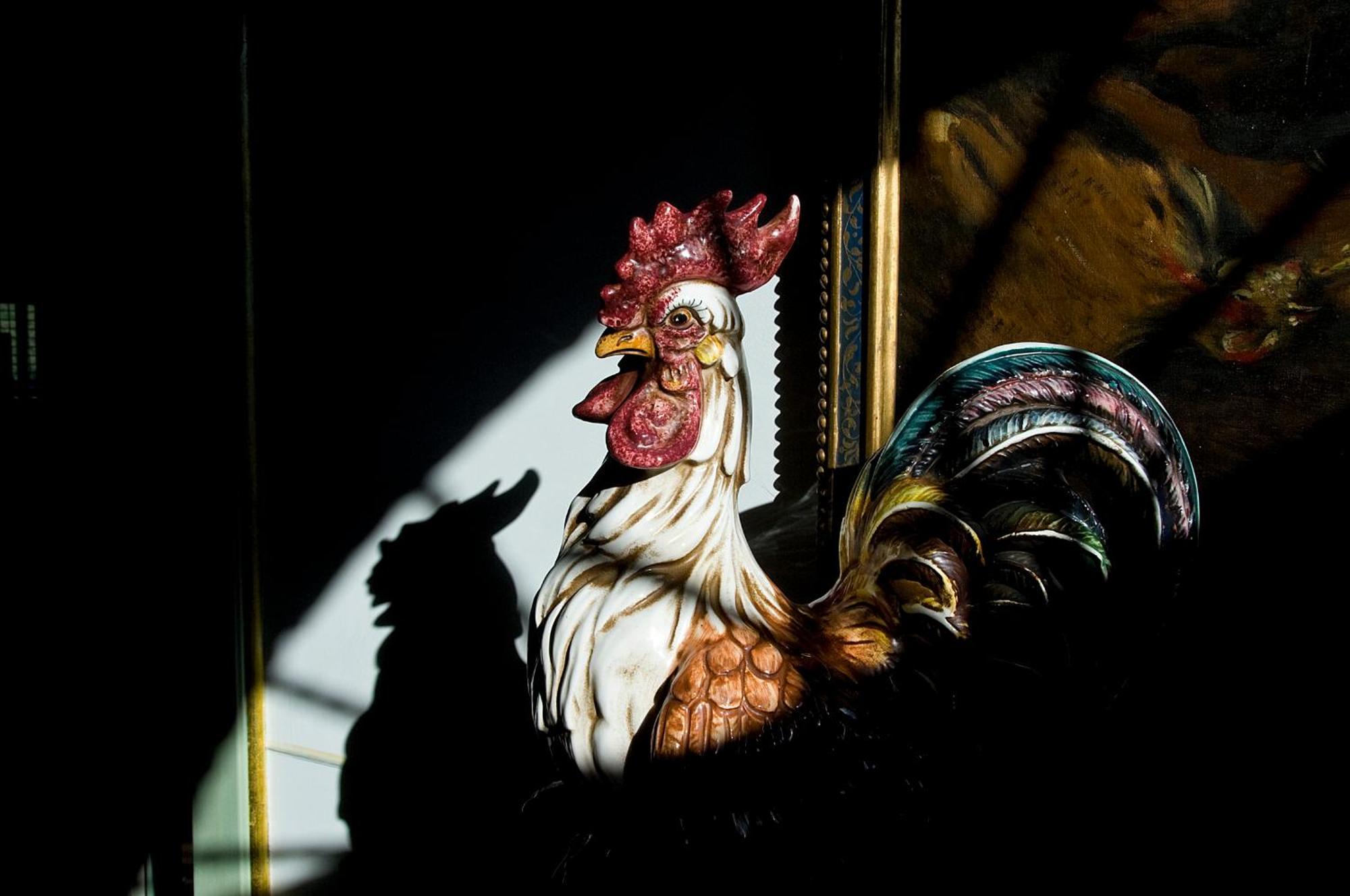 Tenuta Del Gallo Амелиа Екстериор снимка